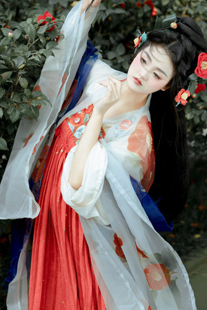 电视剧贞观之治