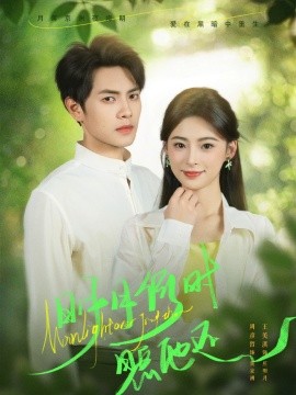 明月何时照他还